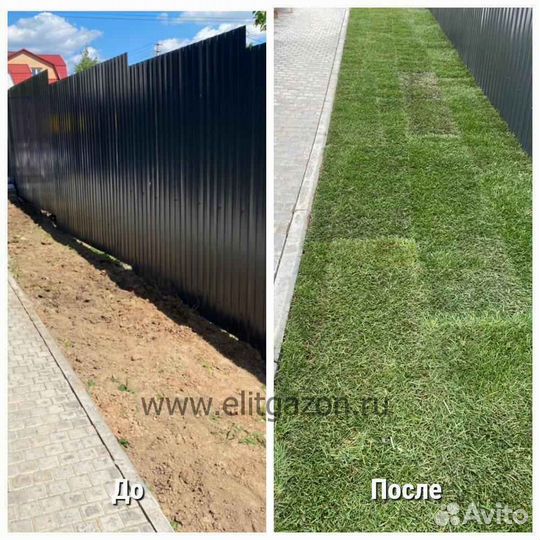 Рулонный газон напрямую от производителя