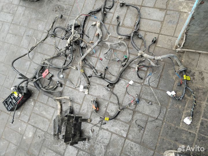 Проводка подкапотная шевроле лачети 7г1.6 ат F16D3