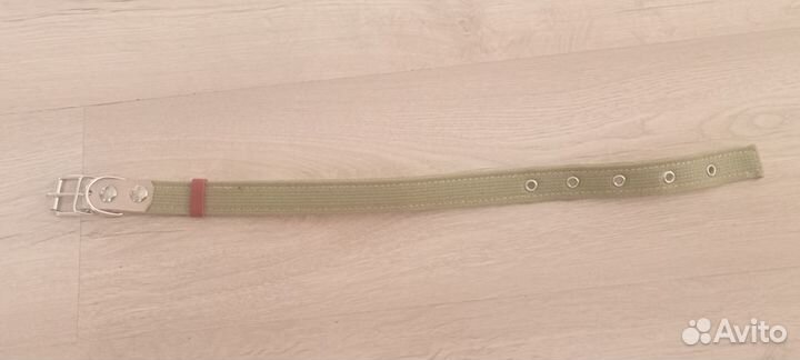 Ошейник и поводок