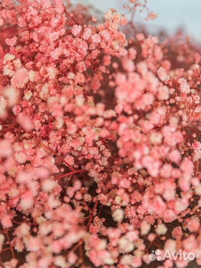 Цветы дизайн