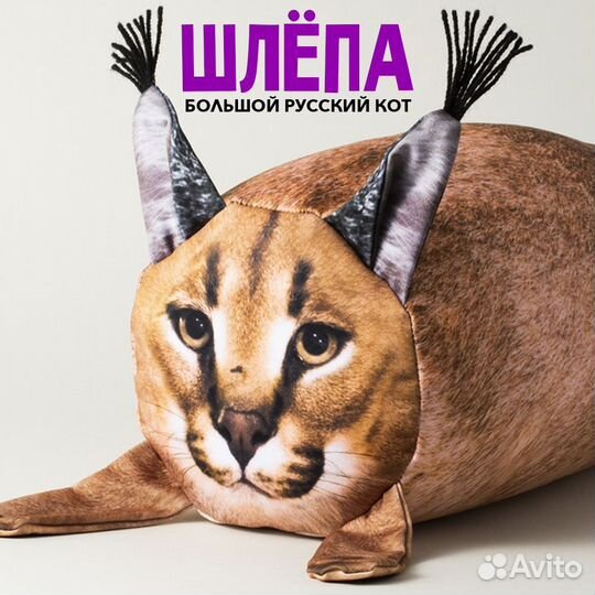 Кот шлепа