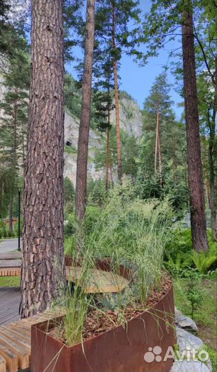 Экскурсия на камень Рериха