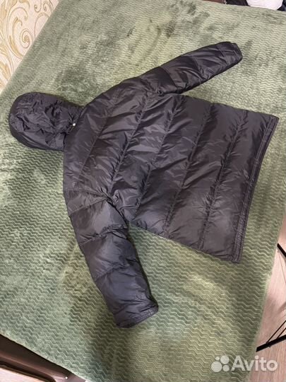 Пуховик dolce gabbana мужской оригинал