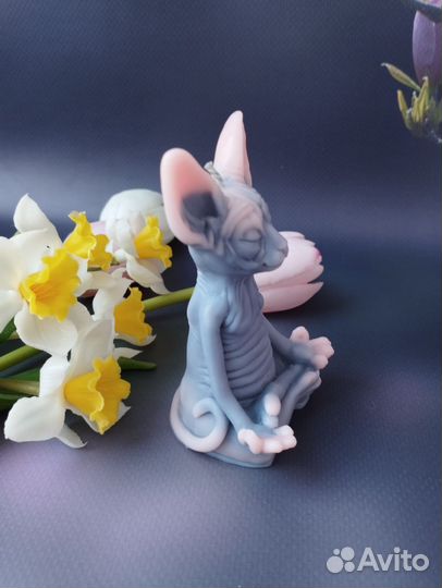 Кот Сфинкс в медитации
