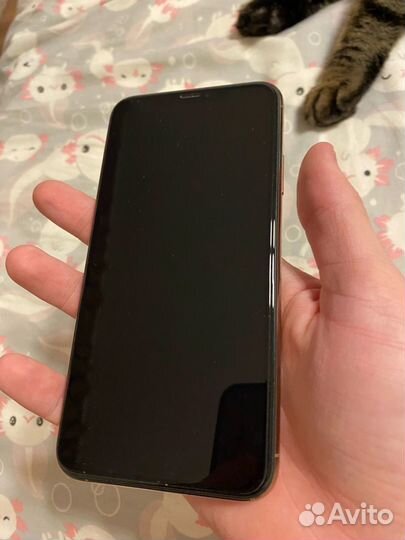 iPhone 11 Pro Max, 256 ГБ