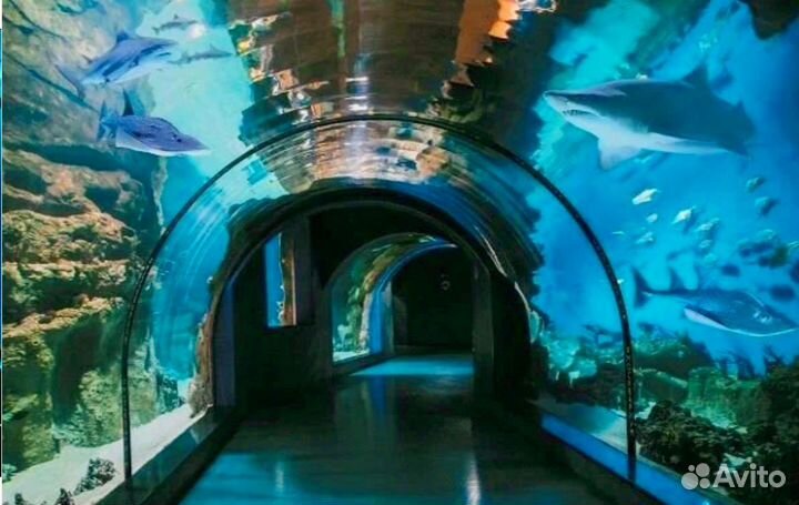 Билет в Океонариум