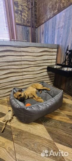 Гостиница для животных