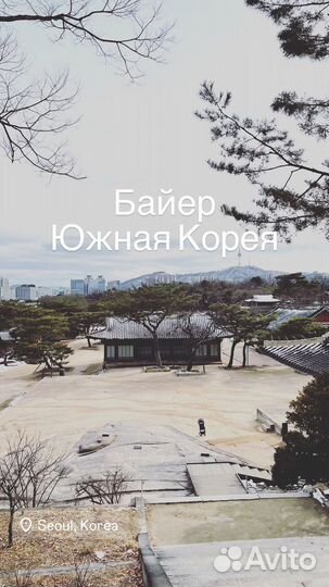 Байер Южная Корея