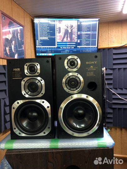 Акустические колонки Sony SS-V725AV