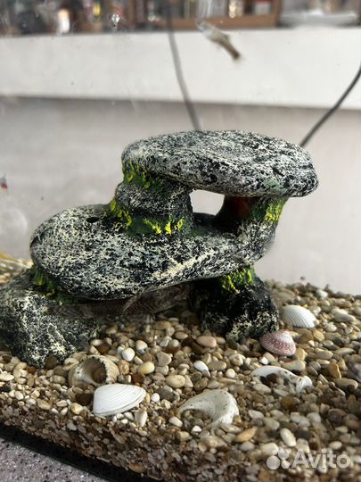 Аквариум с рыбками, фильтром и аксессуарами