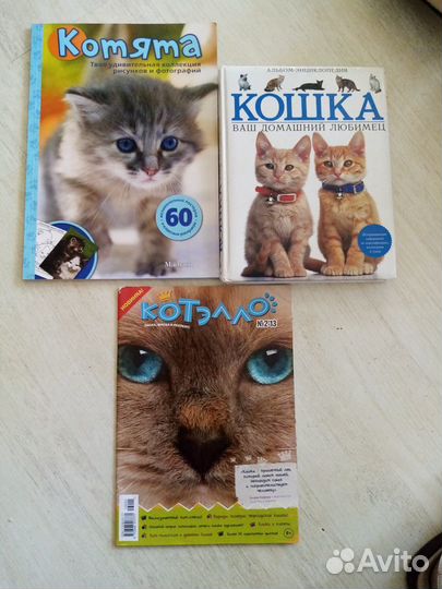 Книга про кошек