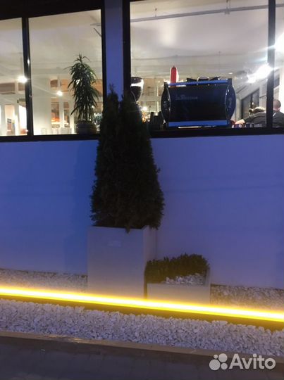 Клумба-кашпо