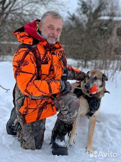 Услуги кинолога