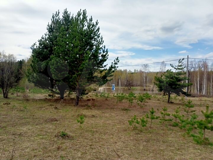 Участок 15,8 сот. (СНТ, ДНП)