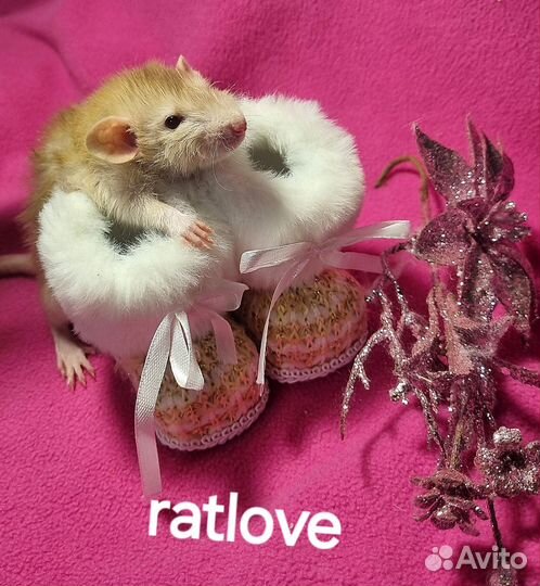 Крысята фавн long от ratlove