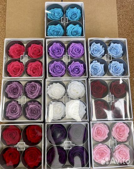 Бутоны Вердиссимо Эквадор 8см