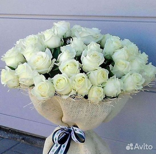 Высокие розы Гигантские розы Доставка цветов