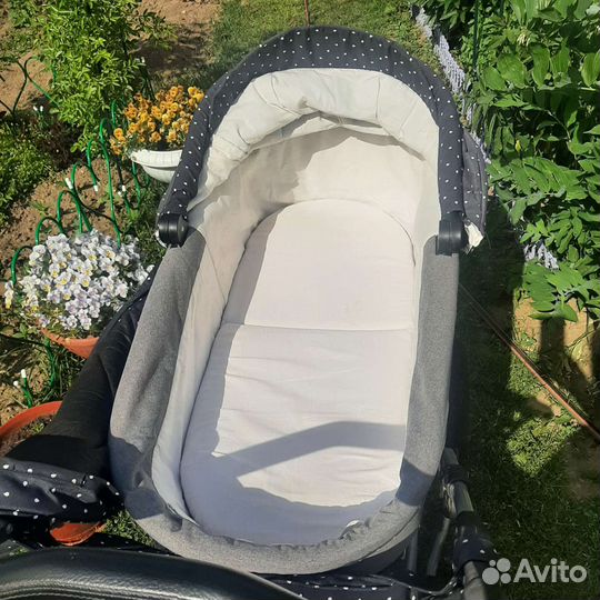 Коляска Jedo Bartatina 2 в 1