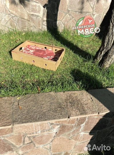 Мясо говядина