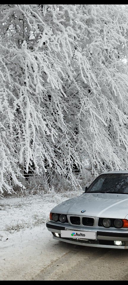 BMW 5 серия: фото владельца