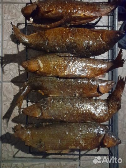 Рыба пелядь