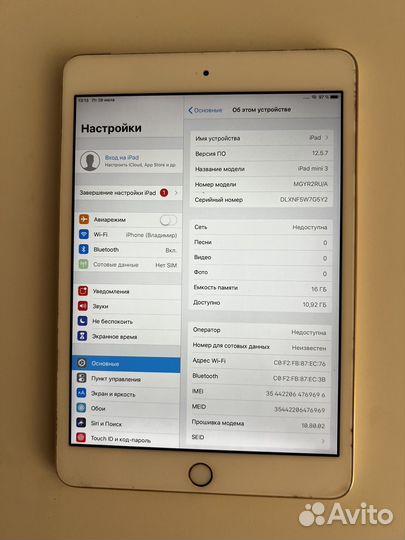 iPad mini 3 cellular 16 GB