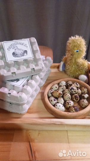 Яйца перепелиные домашние