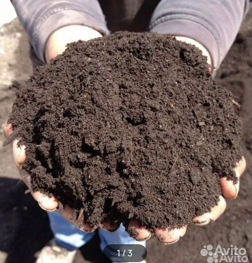Чернозем плодородный