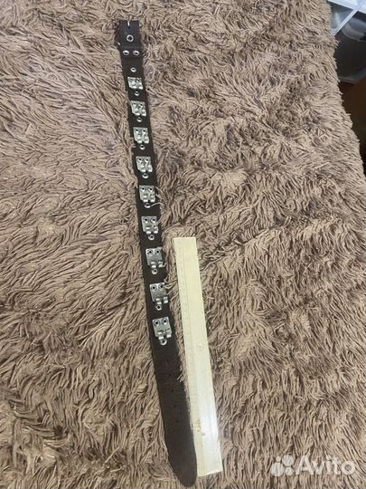 Ошейники для собак