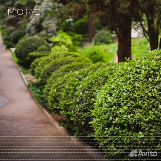 Озеленитель