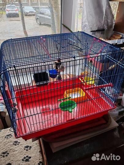 Клетки для грызунов, большая и поменьше