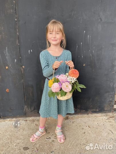 Букеты, композиции на 1 сентября