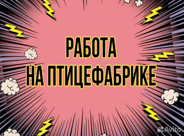 Грузчик на птицефабрику (без опыта)