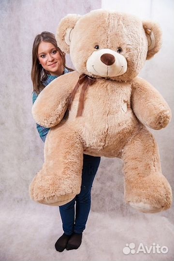 Плюшевые медведи