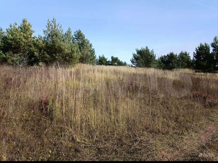 Участок 6 га (СНТ, ДНП)