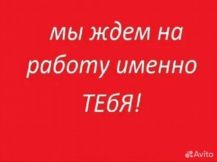 Диспетчер транспортного отдела
