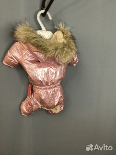 Одежда на маленькую собаку