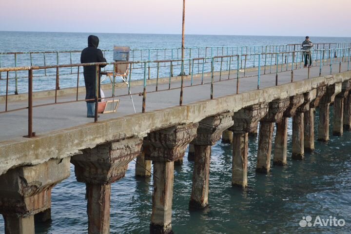 197 Симеиз. Серебряная осень