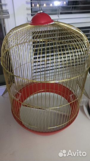 Продам золотую клетку с попугаем или без