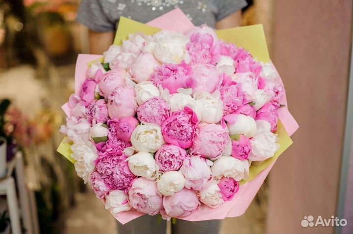 Пионы Букеты 51 101 201 Розы Доставка