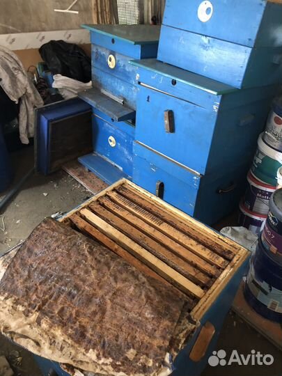 Ульи для пчел