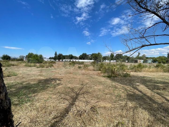 Участок 2,95 га (ИЖС)