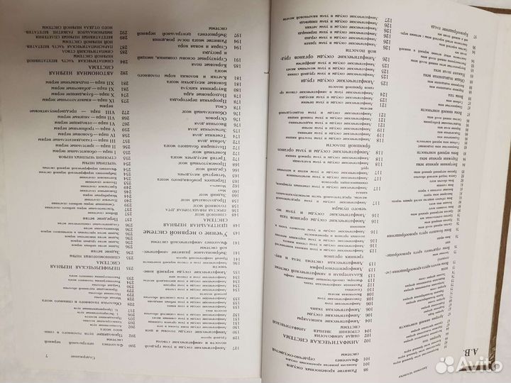 Анатомия человека 1978 год