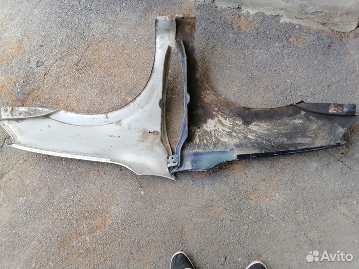 Крылья передние гранта