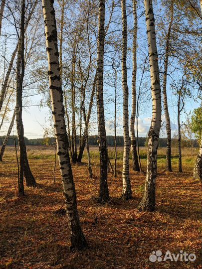 OnePlus 7, 8/256 ГБ