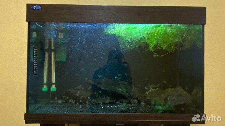 Аквариум