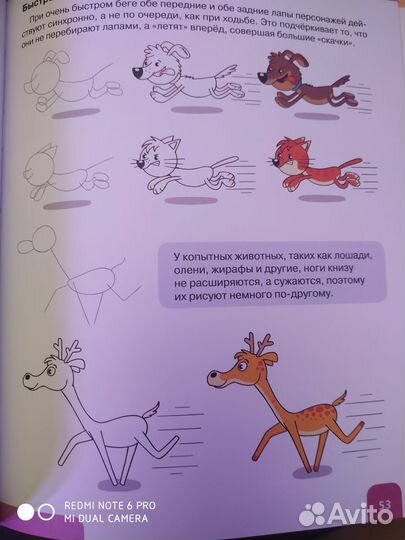 Большая книга рисования. Екатерина Приваловва