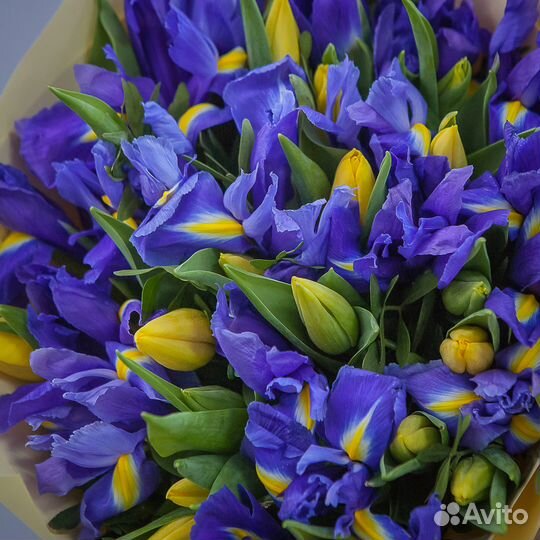 Букет 19 желтых тюльпанов 20 ирисов, цветы доставк