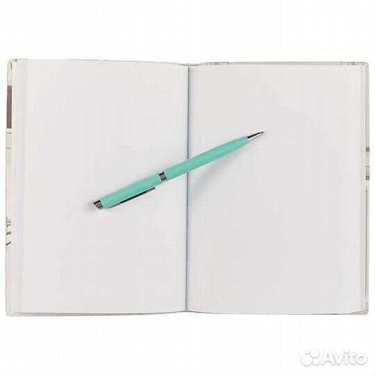 Блокнот «Енот Its my cookies», 192 стр, А5