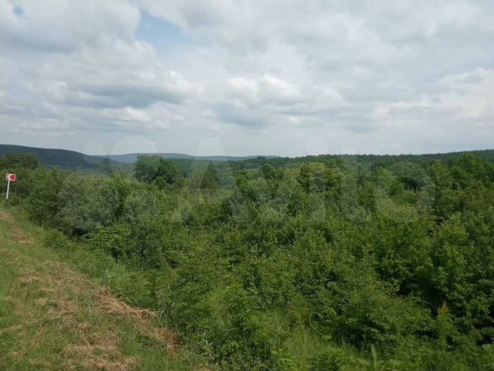 Участок 11 сот. (СНТ, ДНП)